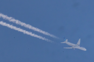 N229UA
